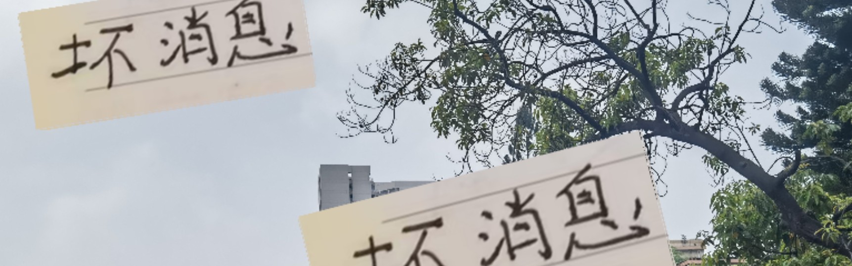 在线体育-坏消息！恩加大爹国家队比赛受伤 好消息吴少聪已前往河南