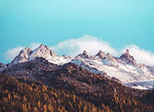 开云体育安卓下载-Siuuuuu！DRX中单Ucal比赛获胜后做出C罗招牌庆祝动作